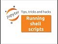 Running Shell Scripts in Jupyter Notebook