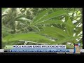 Grand Rapids medical marijuana business applications due Friday