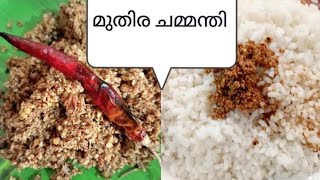 മുതിര ചമ്മന്തി കഴിച്ചിട്ടുണ്ടോ? #chammanthi #littlehome