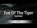 Survivor-Eye Of The Tiger (Melody) [ZZang KARAOKE]