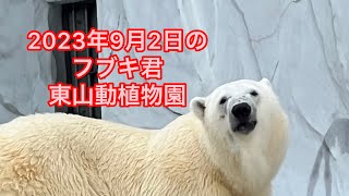 ２０２３年９月２日のフブキ君　東山動植物園