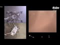 Nasa’s Mars Perseverance rover reveals stunning first video and audio recording from Red Planet