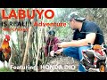 Labuyo hunting, Wild Chicken and Honda Dio adventure