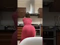 hot girl sexy dance in kitchen 🔥🔥 #dance #balletperformance #fitness #wowmoment #woweffect #bigbank