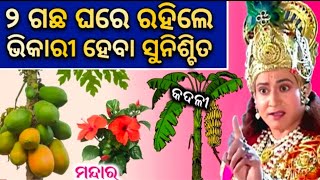 ୨ଟି ଗଛ ଘରେ ରହିଲେ ଧନର ଖର୍ଚ୍ଚ ହୁଏ ସର୍ବନାଶ ହୁଏ ମାଲକ୍ଷ୍ମୀ  ଛାଡ଼ି ଚାଲିଯାଆନ୍ତି/Vastu/ motivational speech