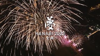 小郡市花火大会「夢HANABI 2023」　〜ドローンで花火を撮ってみた〜