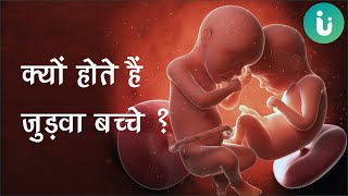 जुड़वा बच्चे क्यों, कैसे और कब पैदा होते हैं, 3D में देखें - Twins pregnancy in hindi by Dr. Archana