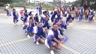 湘南なぎさ連  輪踊り 辻堂海浜公園 海の広場