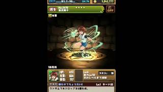 【パズドラ実況】サンデーオールスターズ コラボガチャは闇