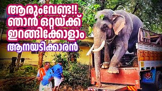 ആരുംവേണ്ട ഞാൻ ഒറ്റയ്‌ക്ക് ഇറങ്ങിക്കോളാം  | Anayadi Appu | Chirvarambathukkavu Pooram  #aanayadiappu