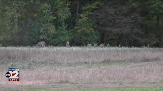 Michigan DNR revealls updated hunting regulations for 2024 season