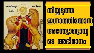 334 # തീയ്ക്കടുത്തവനായ ഇഗ്നാത്തിയോസ് നൂറോനോ സഹദേന്മാരിലെ ജ്വലിക്കുന്ന നക്ഷത്രം