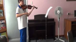 Arica, 20.768.107-5, Violín