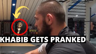 Khabib Nurmagomedov And His Team Gets Pranked By A Snake