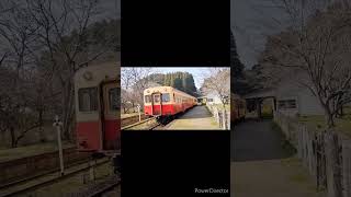 3月中旬　小湊鐵道　月崎駅　気動車のエンジン音が自然の中に響きわたる#小湊鐵道#月崎駅#昭和感#レトロ#気動車#エンジン音#千葉#japan#railway #train #retro