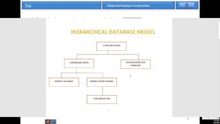Chapter 7 Storing Organizational Information Databases