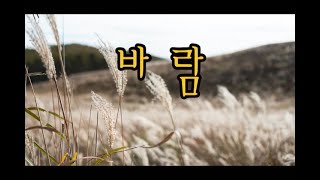 #바람#김영태#mr반주음악하모니카연주#거제도하모니카#김대동#