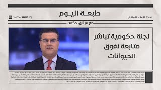 لجنة حكومية تباشر متابعة نفوق الحيوانات | طبعة اليوم مع ميثاق حكمت