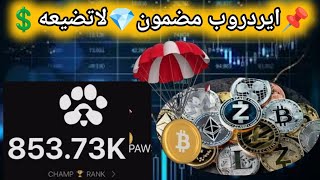 ايردروب قوي PAWS من بوت تلجرام شبيه ايردروب Dogs