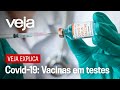 Qual o papel do Brasil nos testes de vacinas contra a Covid-19? VEJA Explica