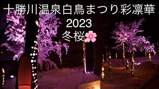 十勝川温泉白鳥まつり　彩凛華　2023 冬桜