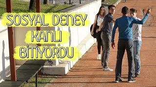 KEKOLAR YALNIZ BİR KIZI TACİZ EDER Mİ? -