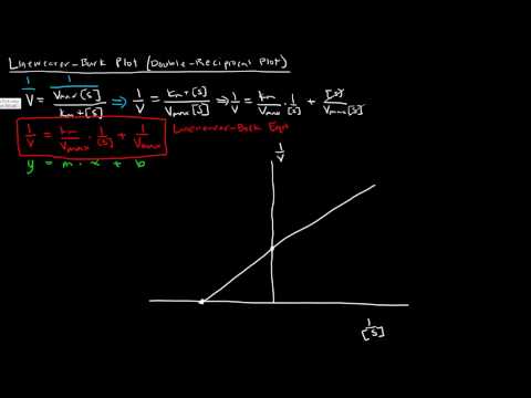 Enzymes (Part 3 of 5) - Lineweaver Burk Plot - Double Reciprocal Plot Enzymes (Part 3 of 5) - Lineweaver Burk Plot - Double Reciprocal Plot