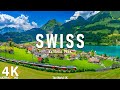 Swiss National Park 4K UHD • Land of Unspoiled Alpine Beauty • Relaxation Film, Calming Music
