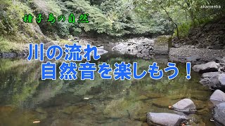 川の流れ自然音を楽しもう！ - 種子島の自然