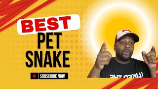 Best Pet Snake, For You!!!