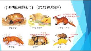 勝手に勉強！狩猟免許試験#3 1. 狩猟鳥獣判別　第3回　わな猟免許試験出題鳥獣