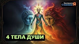 4 ТЕЛА ДУШИ и 4 ЭЛЕМЕНТА 🌍💧🔥🍃