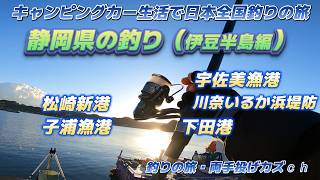 静岡県の釣り（伊豆半島編）宇佐美漁港・川奈いるか浜堤防・下田港・子浦漁港・松崎新港「キャンピングカー生活で日本全国釣りの旅」