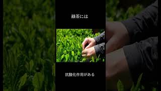 緑茶の雑学 #雑学#shorts