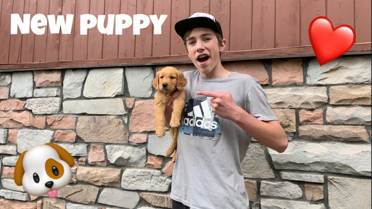 WE GOT A NEW PUPPY! *ADORABLE* - YouTube