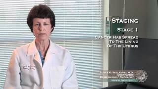 5 staging cervical cancer