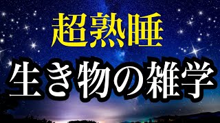 【睡眠雑学】生き物の雑学　へぇ〜!!な雑学１時間　【睡眠導入】安眠　子守唄　読みきかせ睡眠