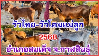 EP.3 #ราคาวัววันนี้ 5 มกราคม 2568 #ตลาดวัวอำเภอสมเด็จ จังหวัดกาฬสินธุ์ #วัวไทย #โคมแม่ลูกบราห์มันแดง