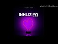 Inhliziyo (Feat. AcMusiQ)