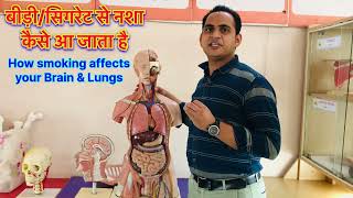 FullVideo👉बीड़ी / सिगरेट पीने से नशा कैसे आता है । How Smoking affects your Brain \u0026 Lungs #viral