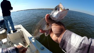 Delacroix La Trip Cursing Beware Not For Sensitive Viewer’s speckled trout fishing