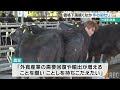 「今年も厳しい畜産経営に」黒島で子牛の初セリ　1頭116万円超の取引があるも、平均ではセリ値低調