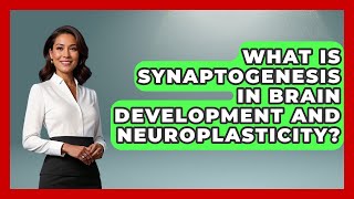 What Is Synaptogenesis In Brain Development And Neuroplasticity? - Brain Development Hub