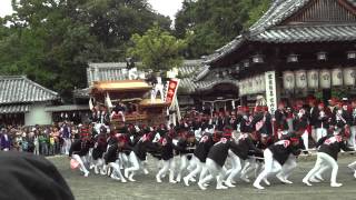 熊取だんじり祭り 大宮の宮入風景 大森神社境内 2014