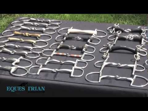 Horse Bits: How They Work And When To Use - YouTube