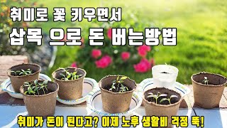 취미로 꽃 키우면서 삽목 으로 돈 버는 방법/ 취미가 돈이 된다고? 이제 생활비 걱정은 뚝