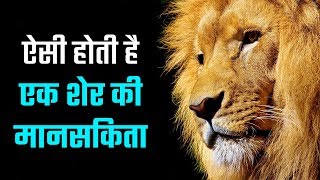 ये होती है शेर की मानसिकता | THE LION MENTALITY | HINDI MOTIVATION | Never Quit