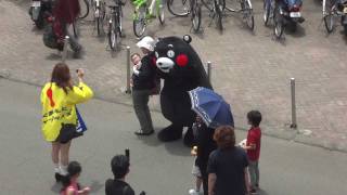 くまモン 暑さに負けずサービス　2011/05/21 水前寺競技場