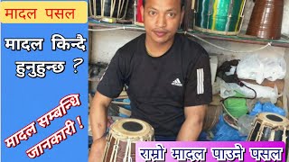 मादल पसल | Best Madal | कस्तो मादल किन्न उपयुुक्त हुन्छ ? मुल्य  कति पर्छ ? Madal Ko Janakari