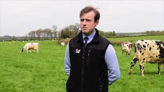 Managing sub-acute rumen acidosis at grass